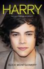 Harry Styles - Preview