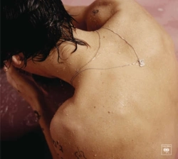 Capa do artigo Harry Styles - CD