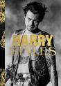 Harry Styles - Preview