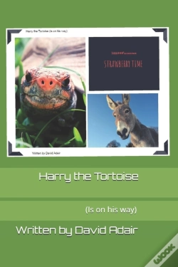 Capa do artigo Harry The Tortoise