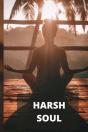 Harsh  Soul - Preview