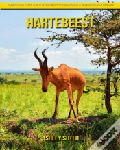 Capa do artigo Hartebeest