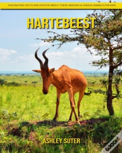 Capa do artigo Hartebeest
