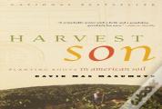 Harvest Son