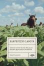Harvesting Labour - Preview