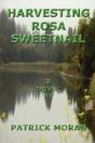Harvesting Rosa Sweetnail - Preview