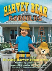 Harvey Bear Rebuilds