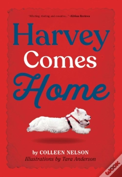 Capa do artigo Harvey Comes Home