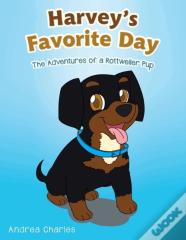 Harvey'S Favorite Day