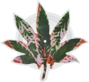 Capa do artigo Hashish - Vinil
