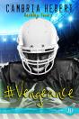 Hashtag Tome 2 ; #Vengeance - Preview
