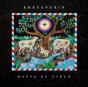Hasta El Cielo - Vinil - Preview