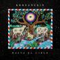 Hasta El Cielo - Vinil - Preview