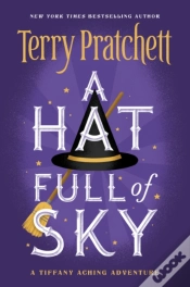 Capa do artigo Hat Full Of Sky
