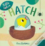 Hatch