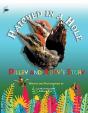 Hatched In A Hole - Preview