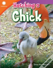 Capa do artigo Hatching A Chick