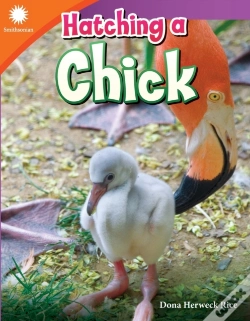 Capa do artigo Hatching A Chick
