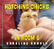 Capa do artigo Hatching Chicks In Room 6