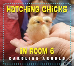 Capa do artigo Hatching Chicks In Room 6