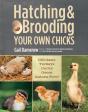 Hatching & Brooding Your Own Chicks - Preview