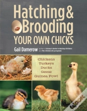 Capa do artigo Hatching & Brooding Your Own Chicks