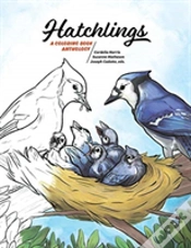Capa do artigo Hatchlings