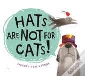 Hats Are Not For Cats