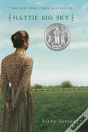 Capa do artigo Hattie Big Sky