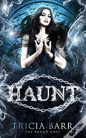 Capa do artigo Haunt