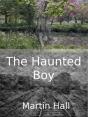 Haunted Boy - Preview