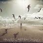 Haunted By American Dreams - CD - Preview