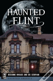 Capa do artigo Haunted Flint