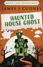 Haunted House Ghost - Preview