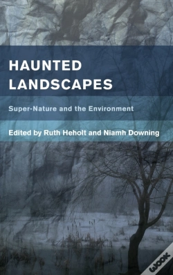 Capa do artigo Haunted Landscapes
