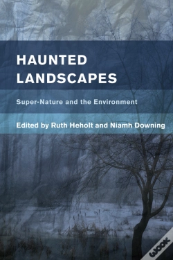 Capa do artigo Haunted Landscapes