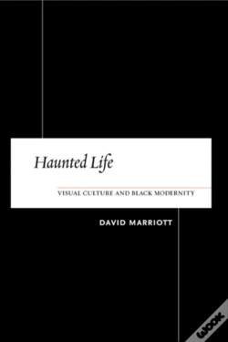 Capa do artigo Haunted Life