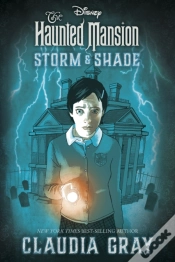 Capa do artigo Haunted Mansion: Storm & Shade