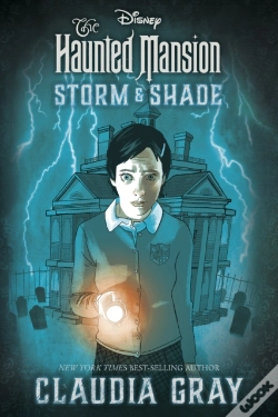 Capa do artigo Haunted Mansion: Storm & Shade