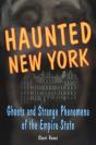 Haunted New York - Preview