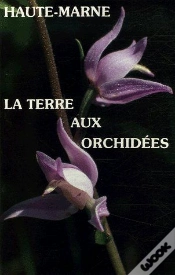 Capa do artigo Haute-Marne, La Terre Aux Orchidées