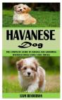 Havanese Dog - Preview