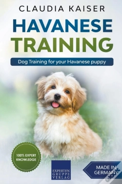 Capa do artigo Havanese Training: Dog Training For Your