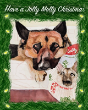 Have A Jolly Molly Christmas - Preview