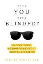 Have You Been Blinded - Preview