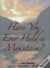 Capa do artigo Have You Ever Held A Mountain?