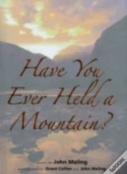 Capa do artigo Have You Ever Held A Mountain?