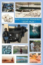 Have You Ever Wondered? - Preview