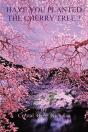 Have You Planted The Cherry Tree ? - Preview