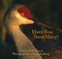Have You Seen Mary? - Preview